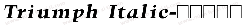 Triumph Italic字体转换
